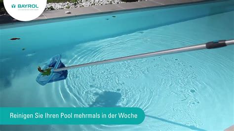Pool Tipps Zur Tauchbrettpflege